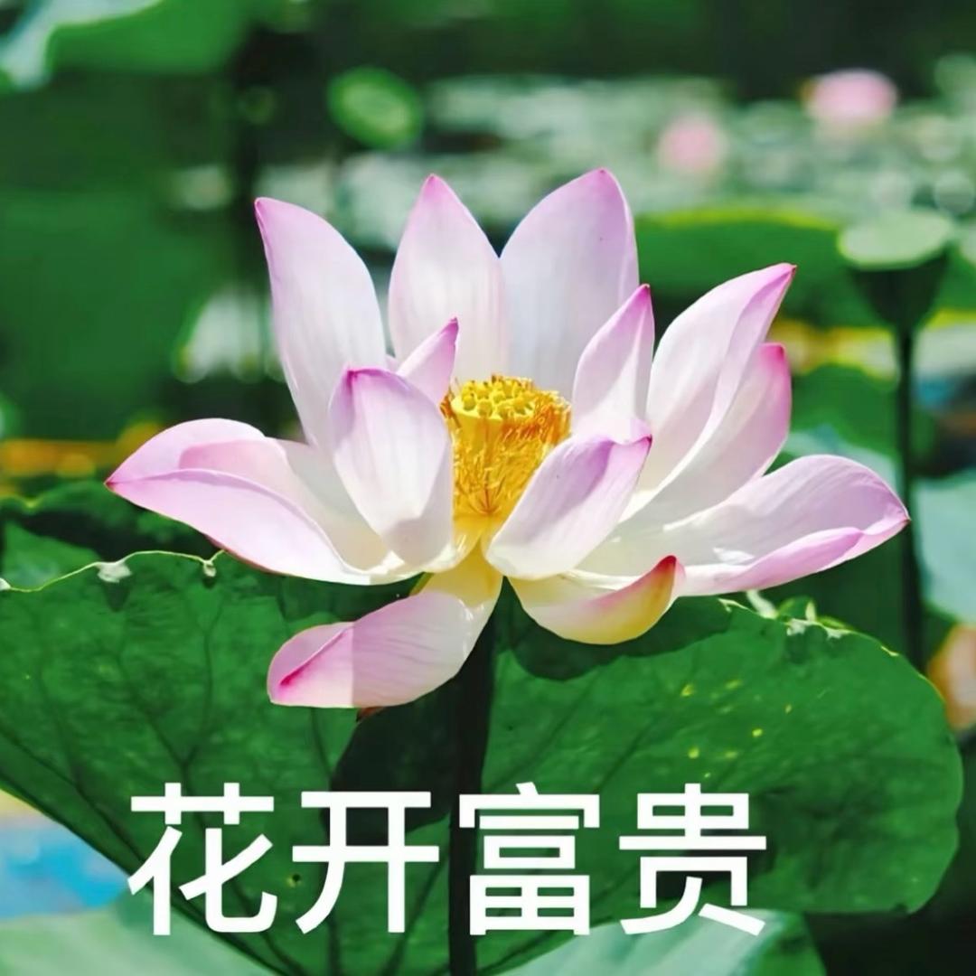 两个孩子的妈