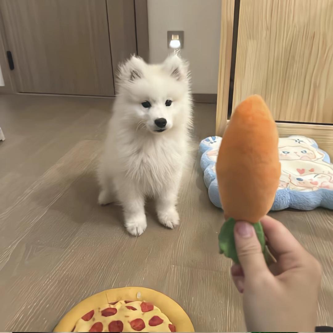 比奇堡最漂亮的女人.