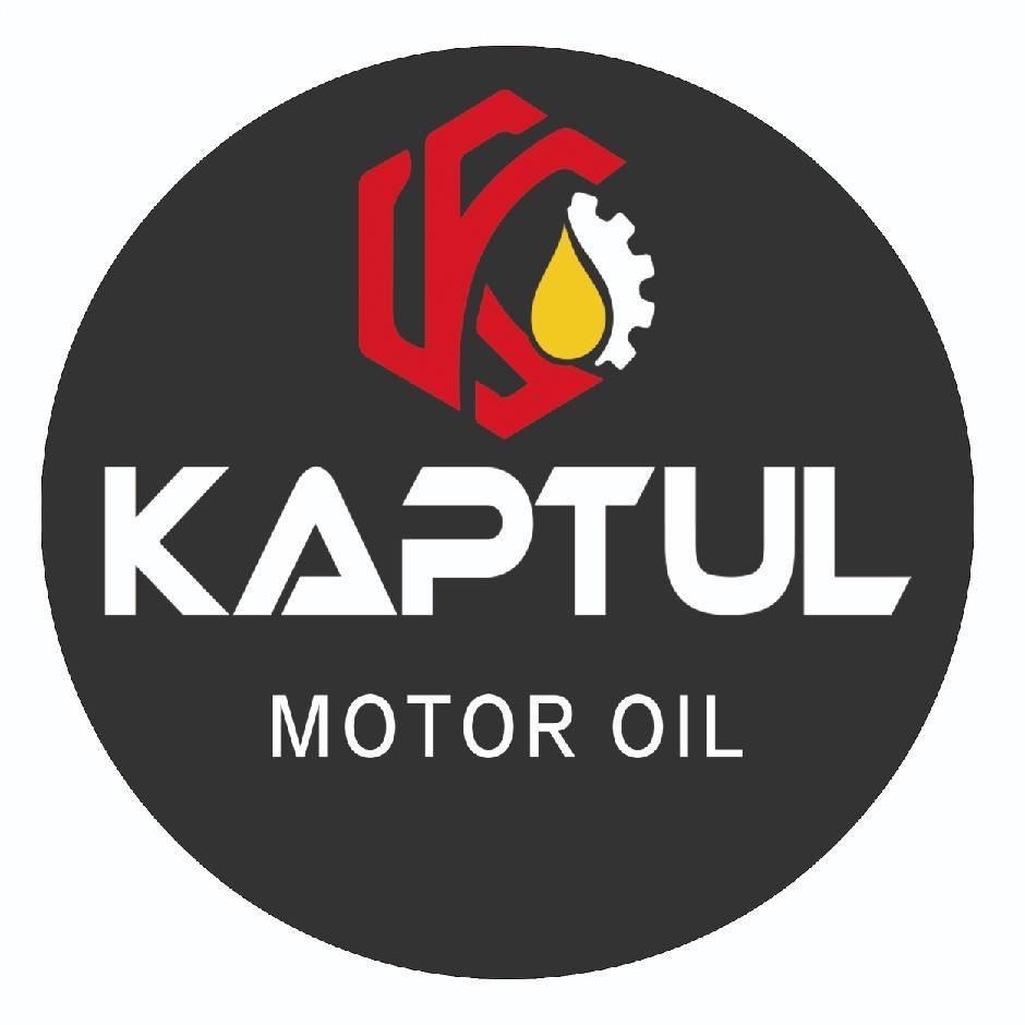 艾尼KaPToL