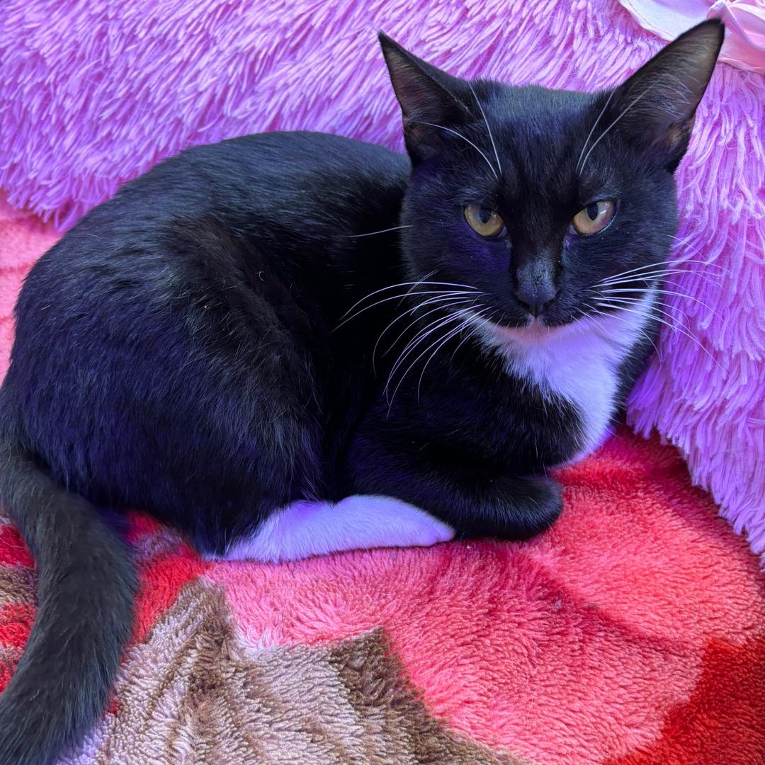 爱情是个伪命题