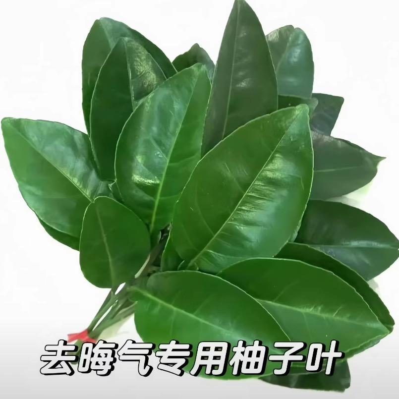 少管我ben