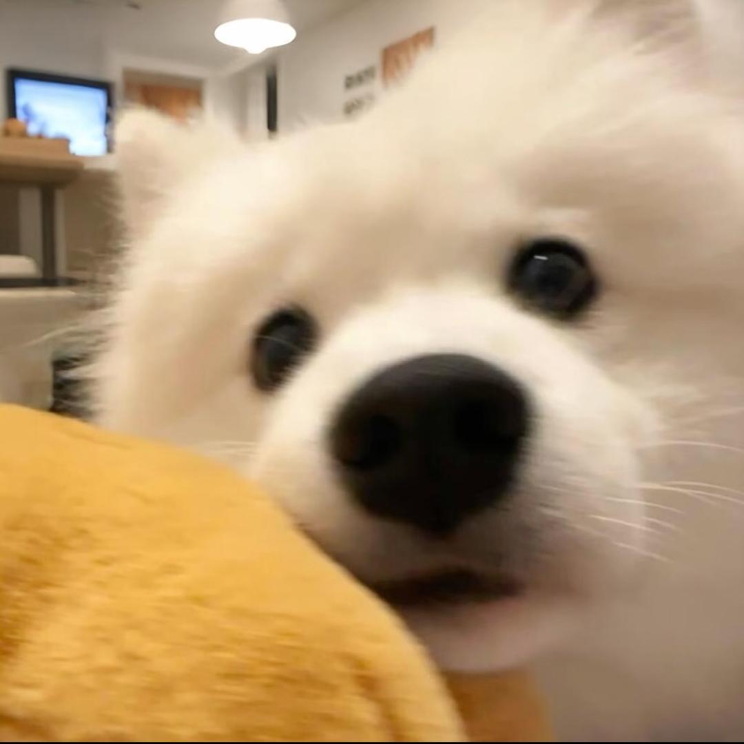 发呆
