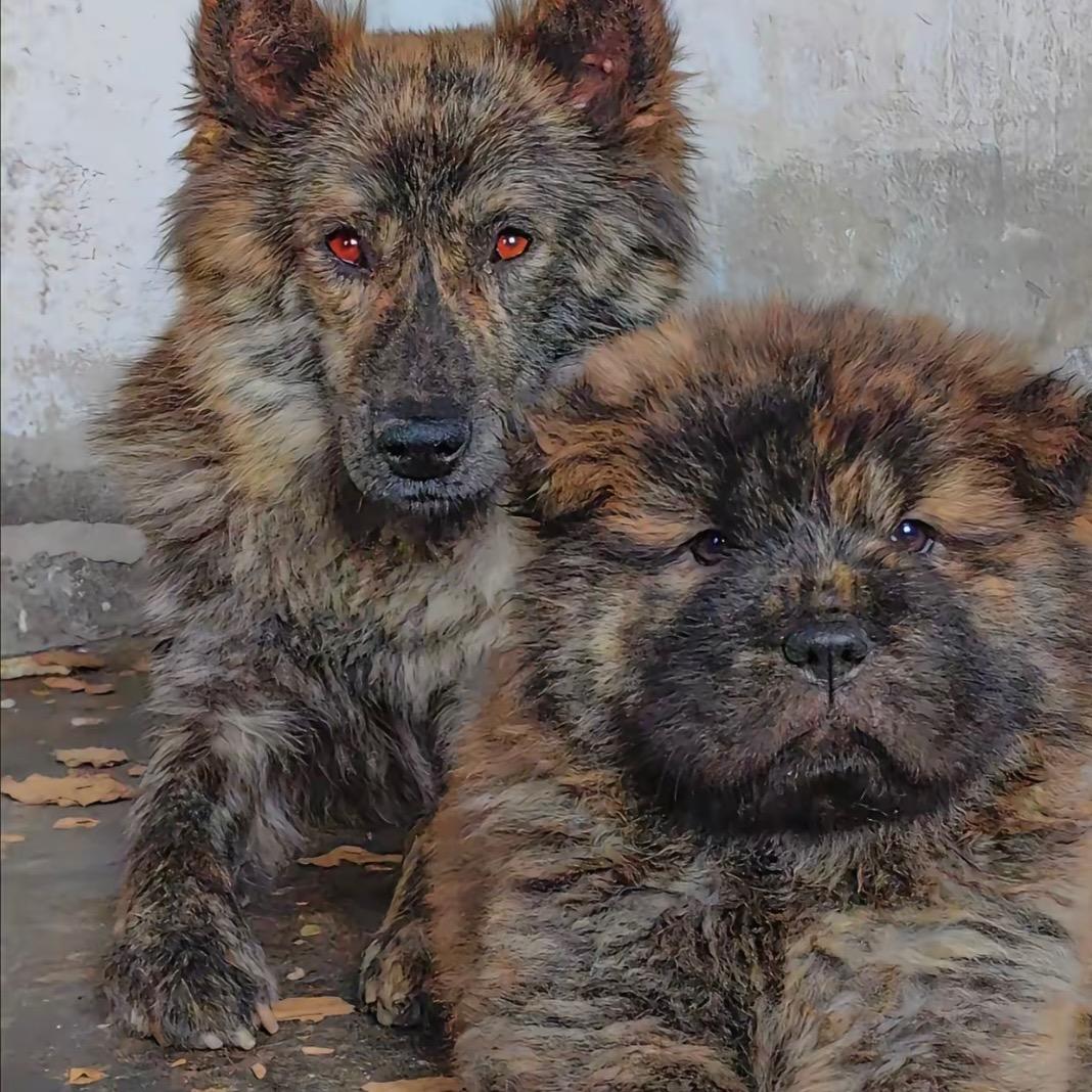 乐在其中