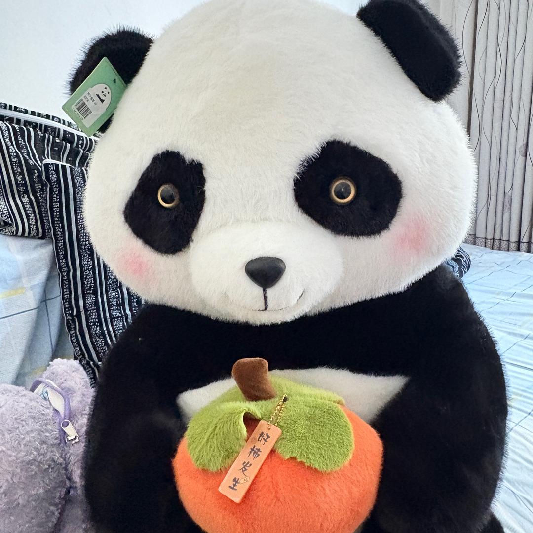 🐼