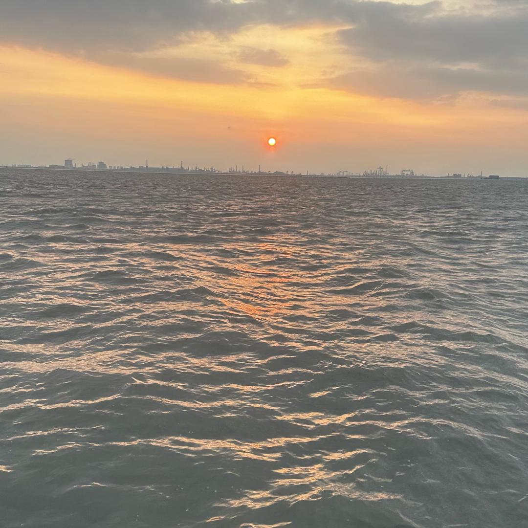 花开富贵帅哥美女