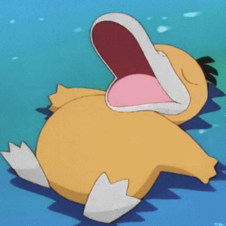 哈密瓜🍈