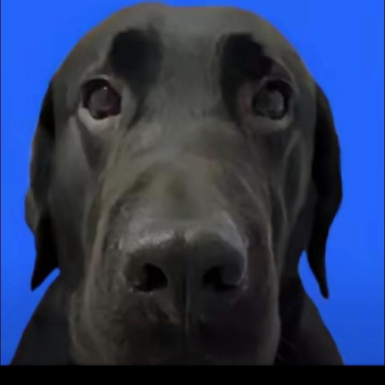 我可以不上学吗