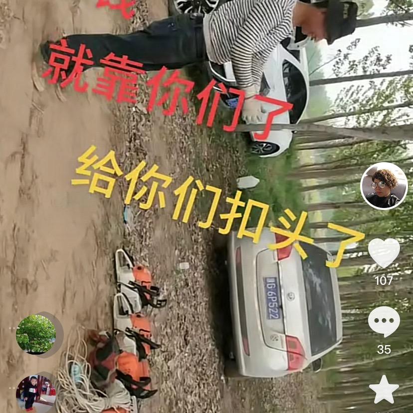 加工收购树木
