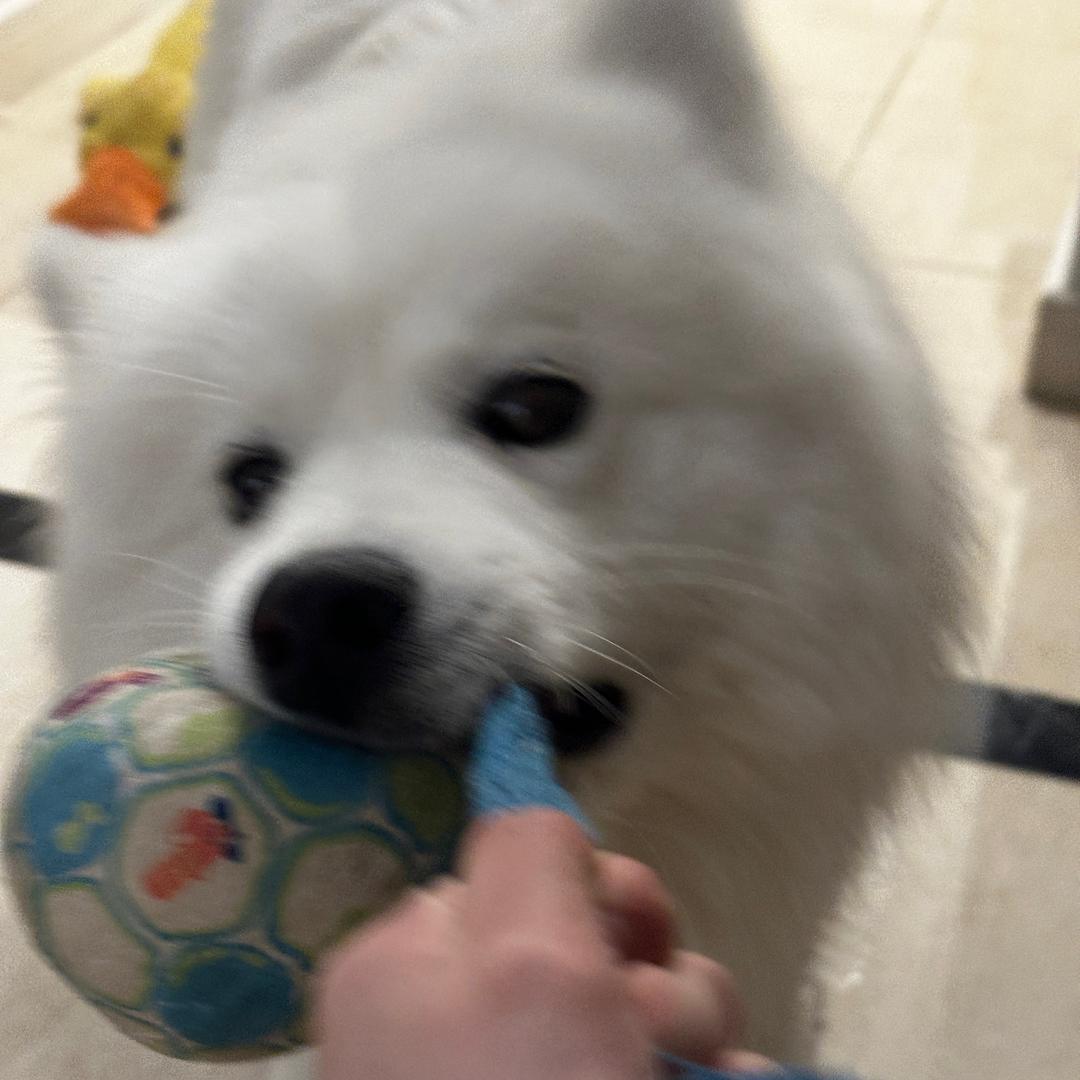 俺不是一七