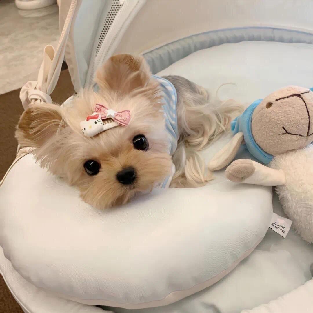 我最懂怎么爱自己