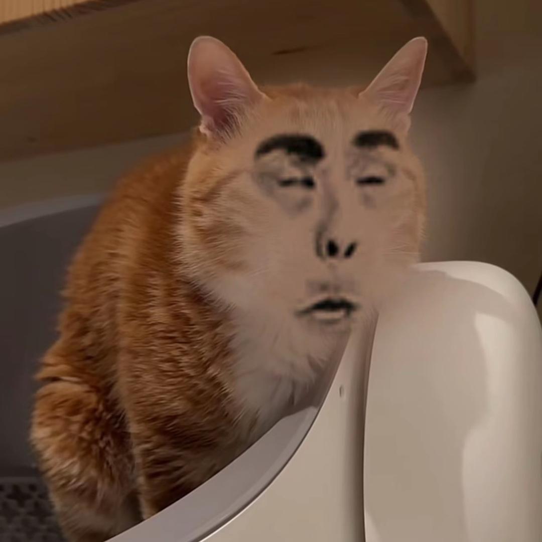 忘尘（三角洲行动）