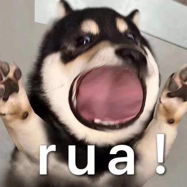 王念念