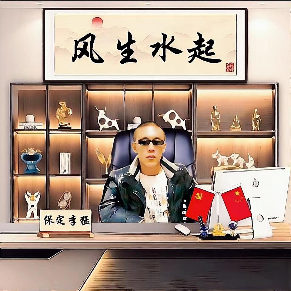 保定李猛
