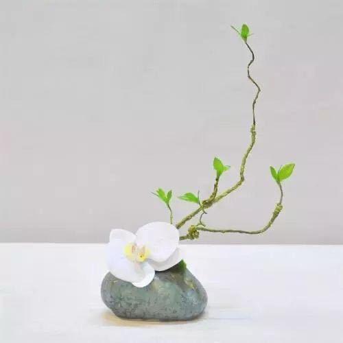 🧚‍♀️🧚‍♀️