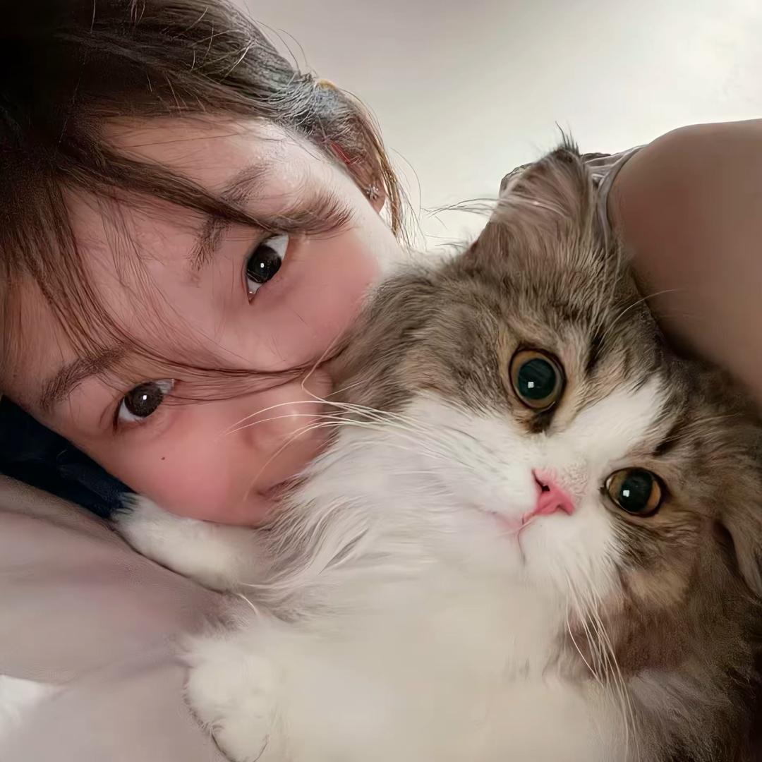 轨迹海