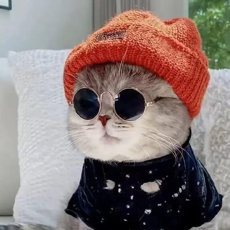 淘猫说影