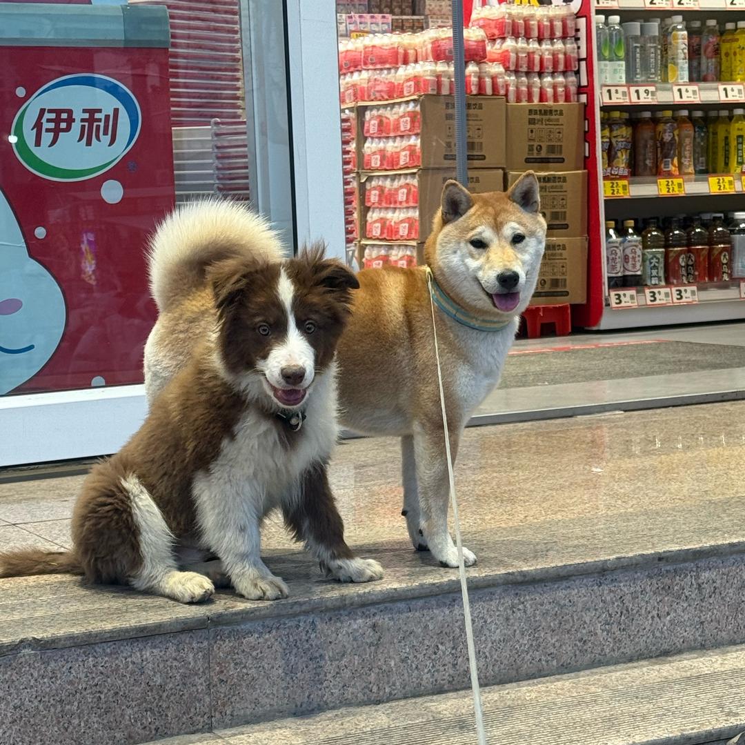 来福he进喜