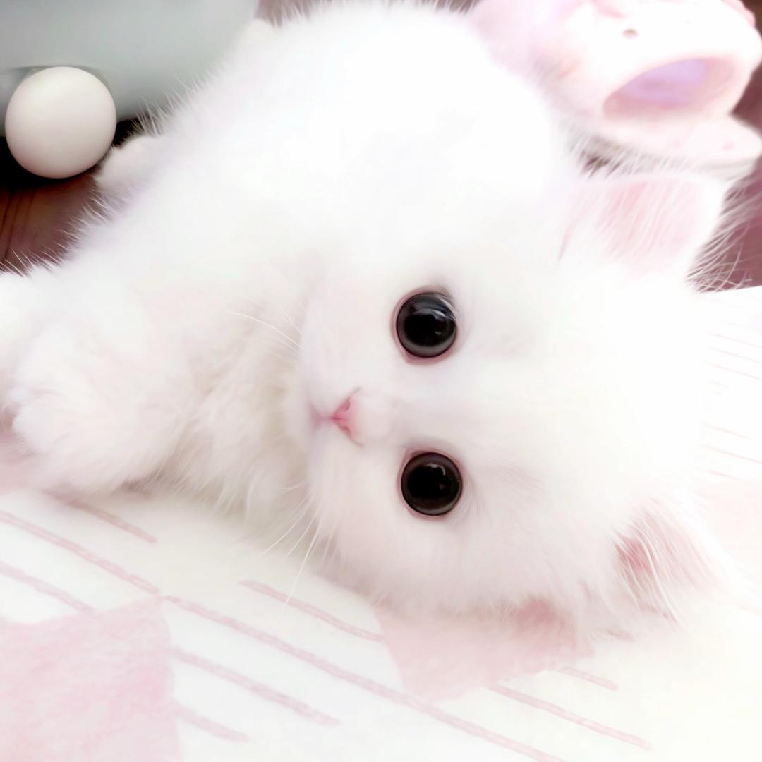 你怎么总是这样