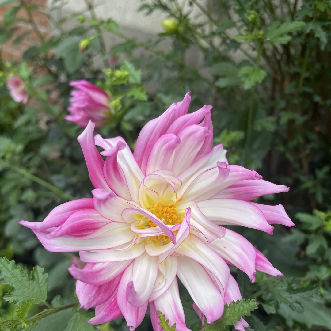 熙茂家居服精选