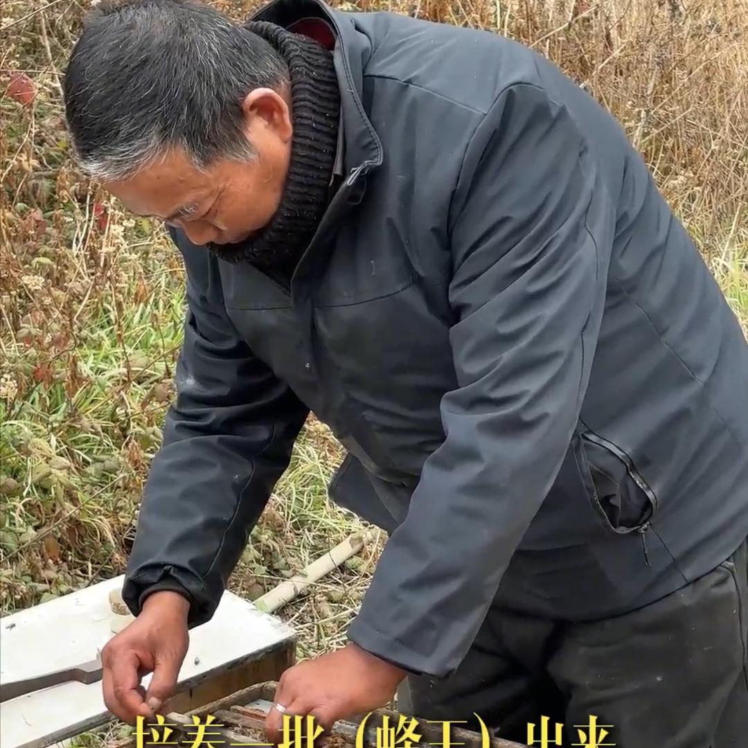 劲宇蜂园优品