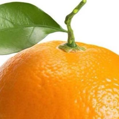 橙汁🍊