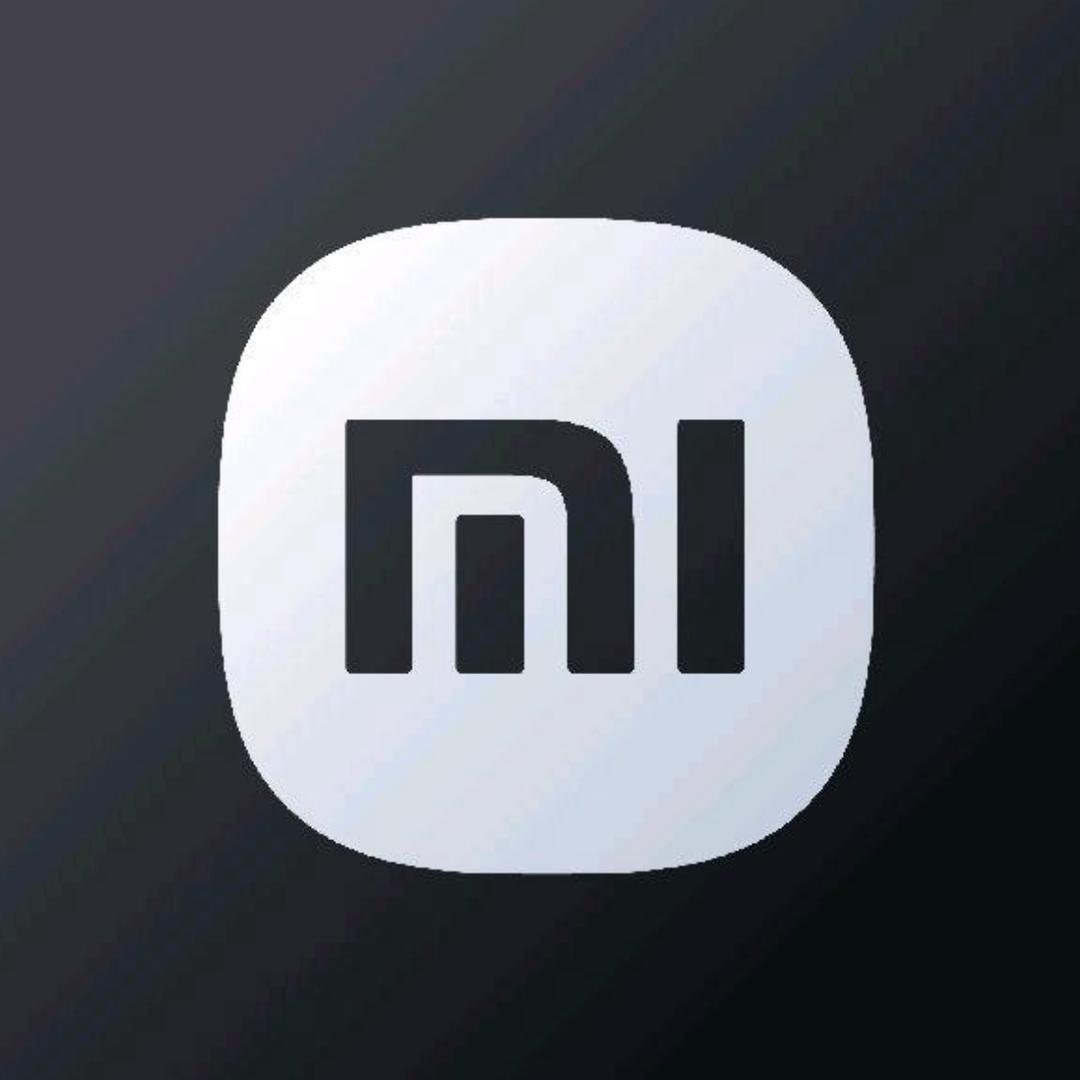 小米汽车 | 南昌武商店（一一）