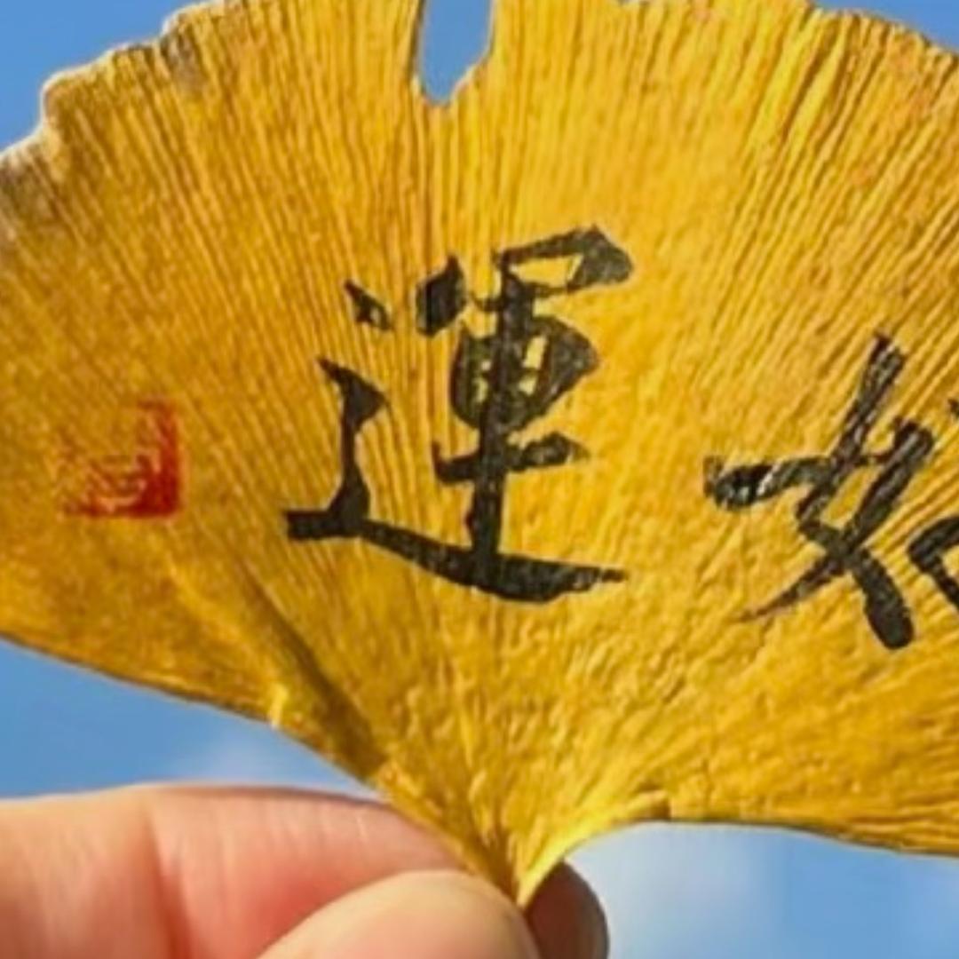 一清吖