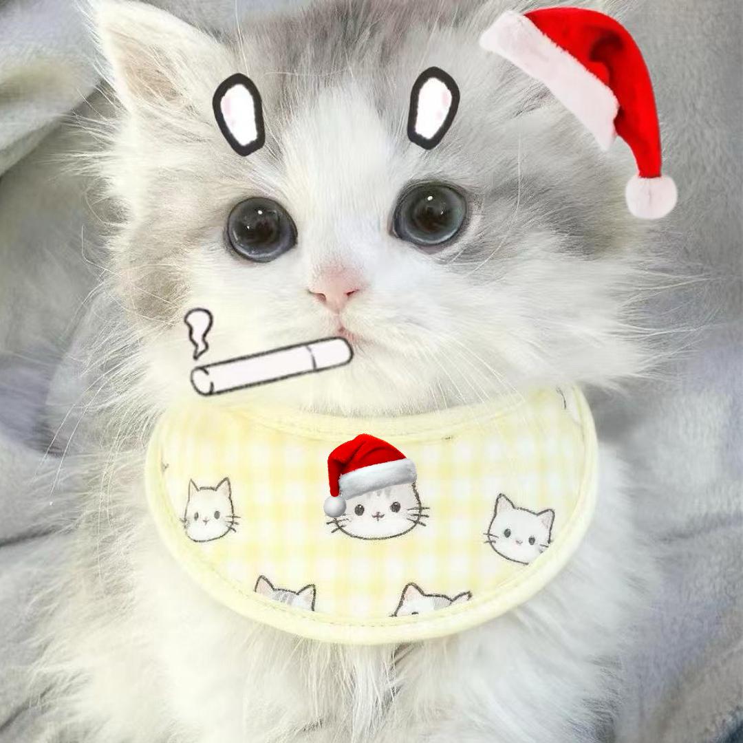 我是一只小小小小鸟