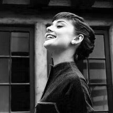 刺猬小姐的秘密花园