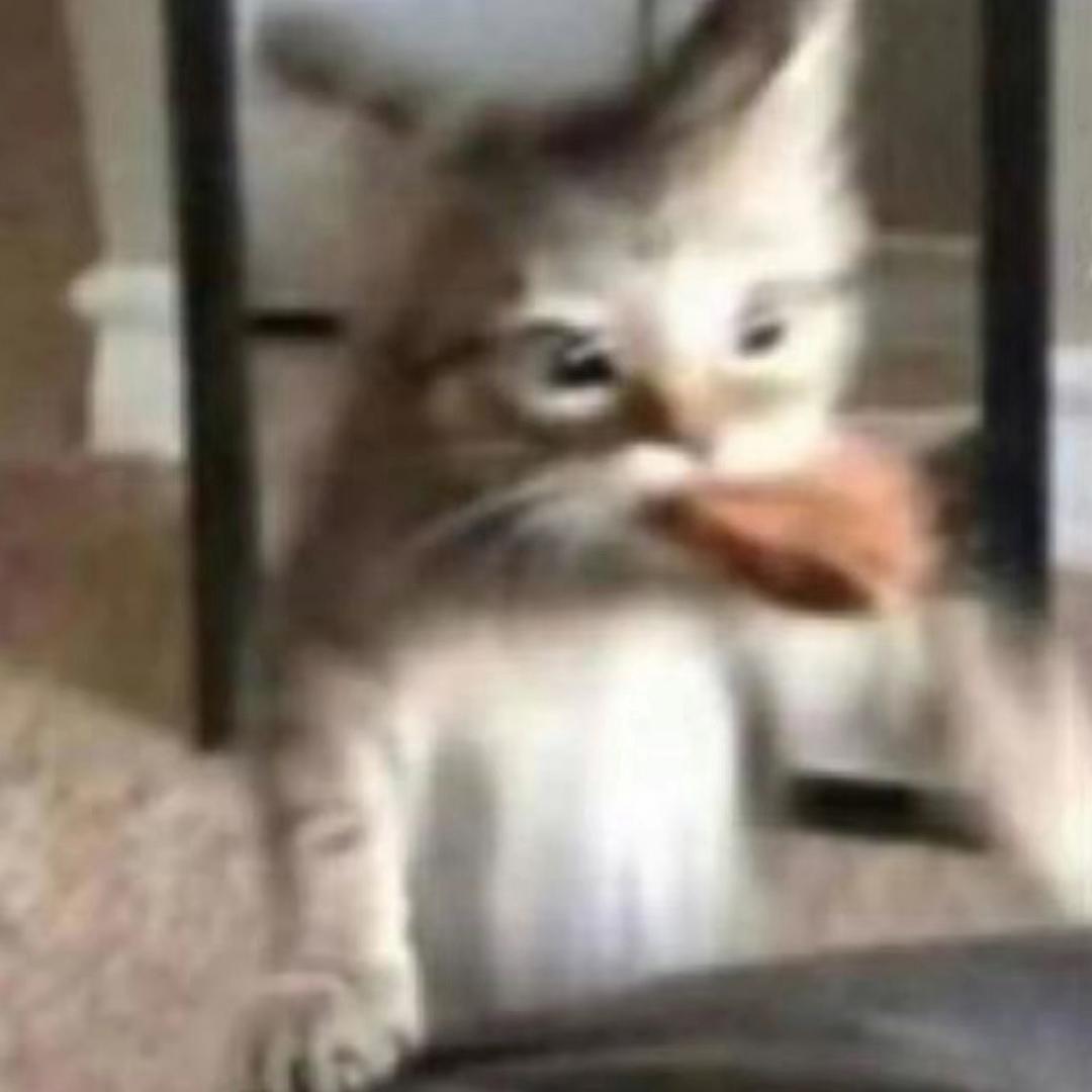蒜茸酱