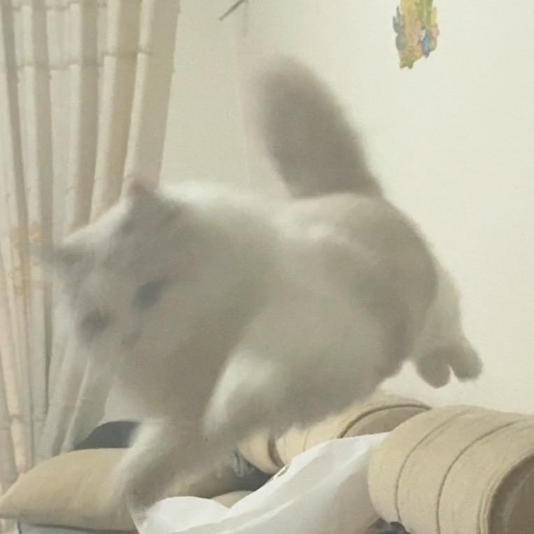 苏抉在线
