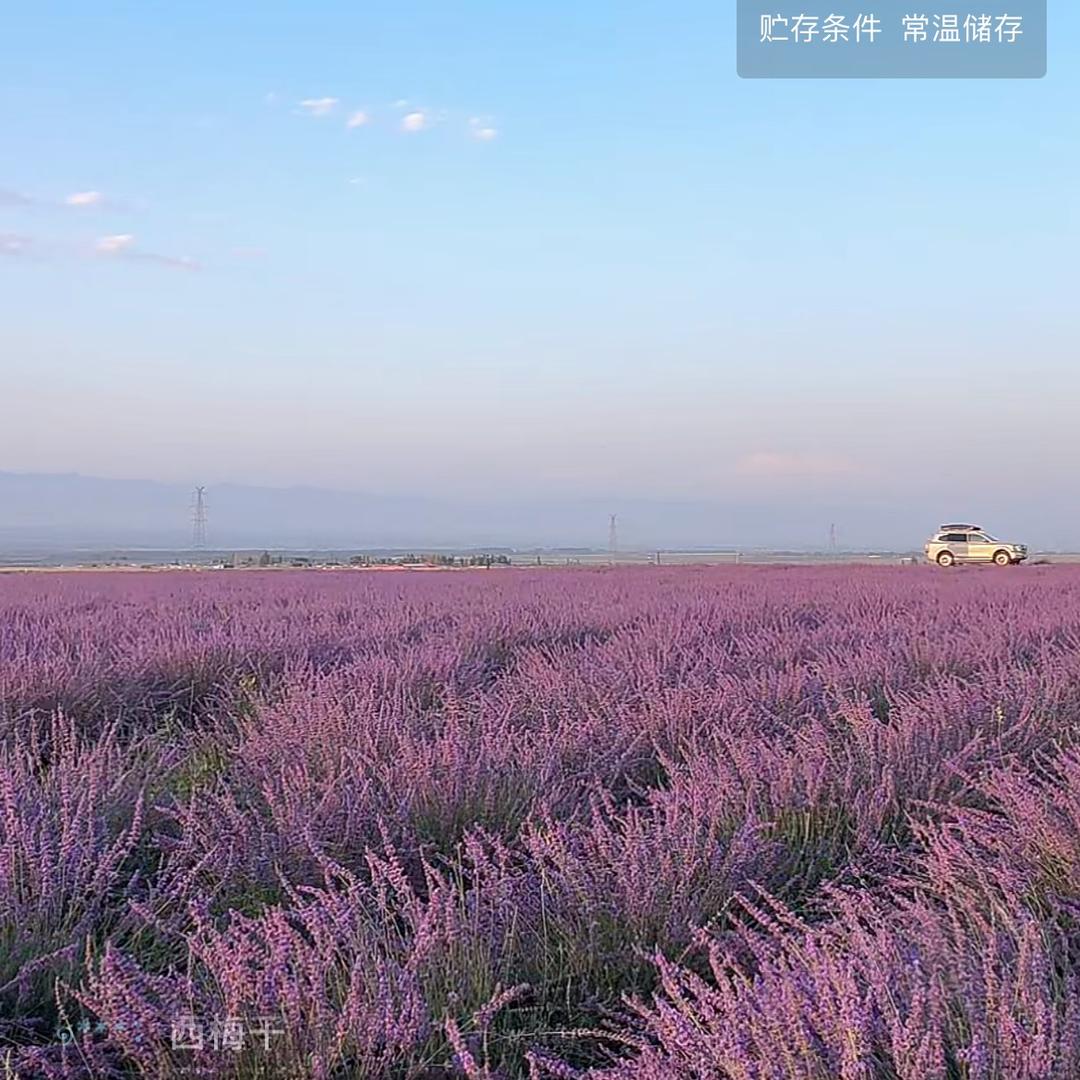 小小的日常
