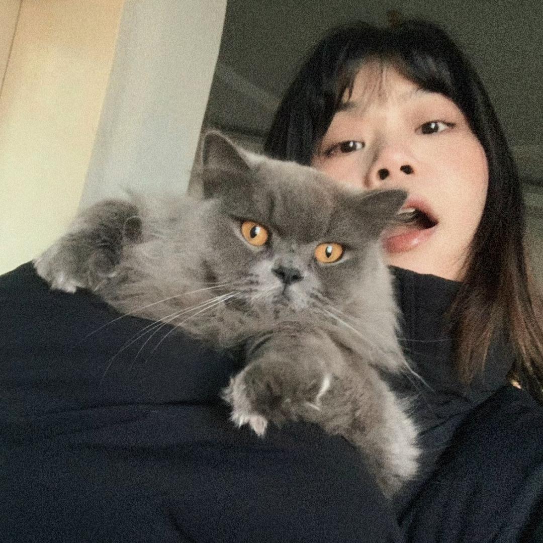 小想卖车记