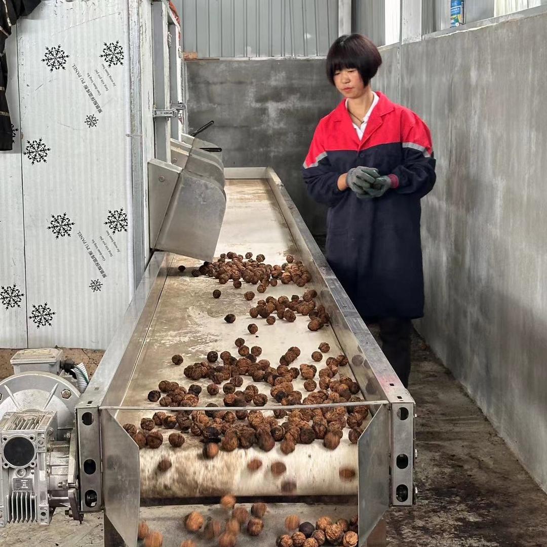 陇川县香菊食品加工厂