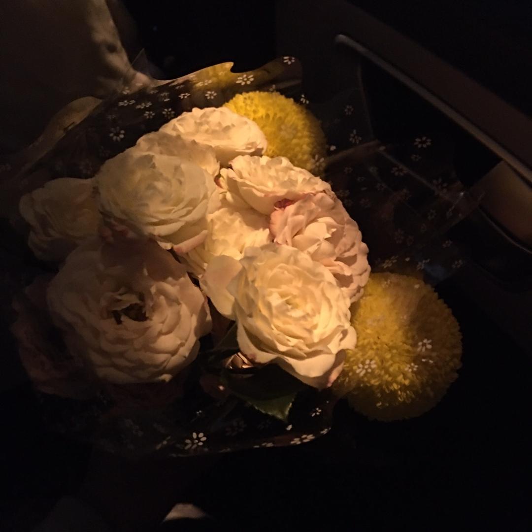 巴拉巴拉陈喜喜