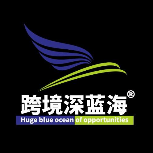 跨境深蓝海电商