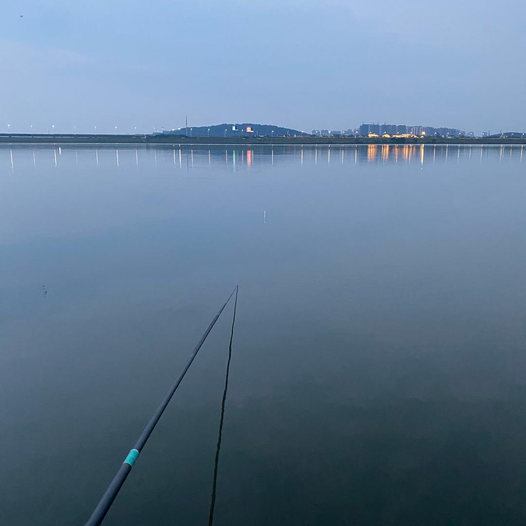 🌟 🌟 🌟 🌟 🌟