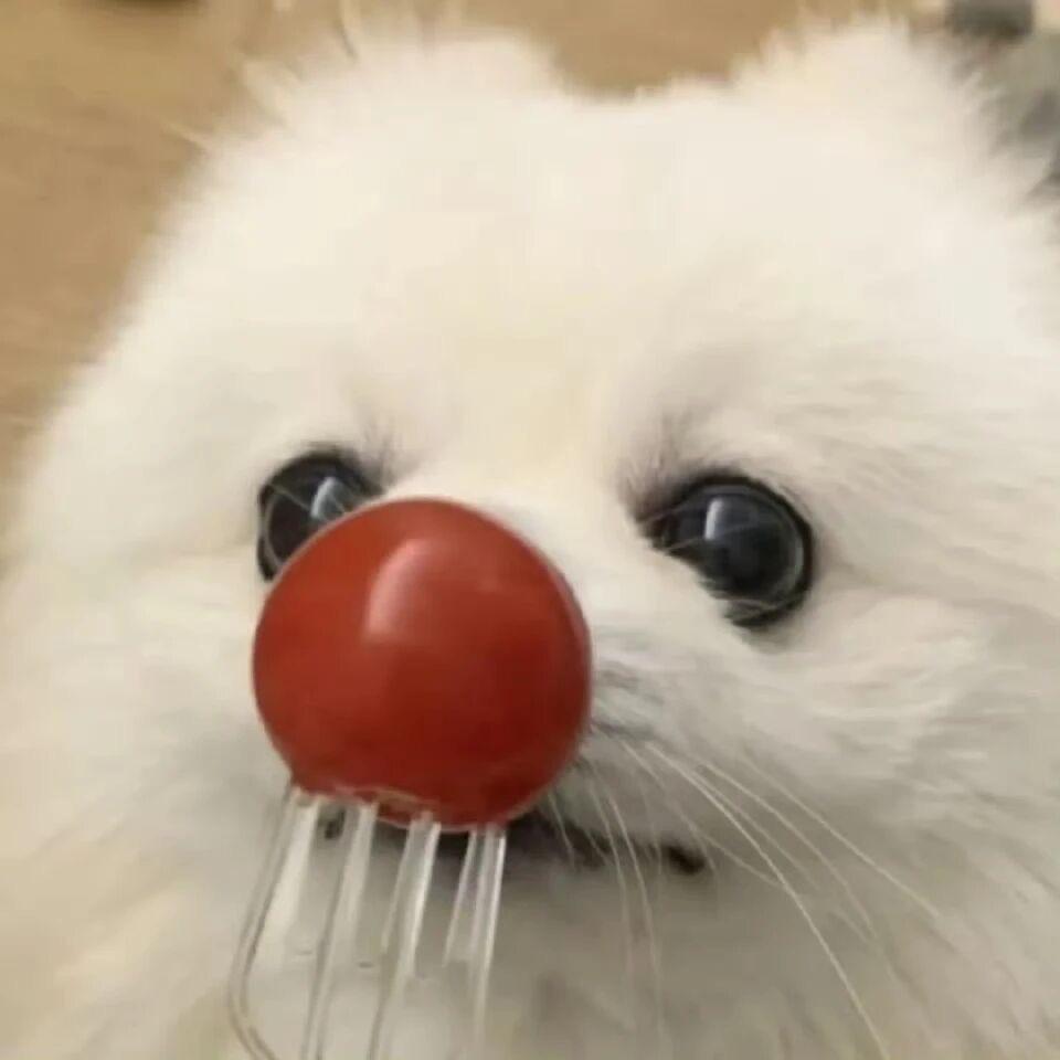 嗨皮牛耶✌️（守望先锋）