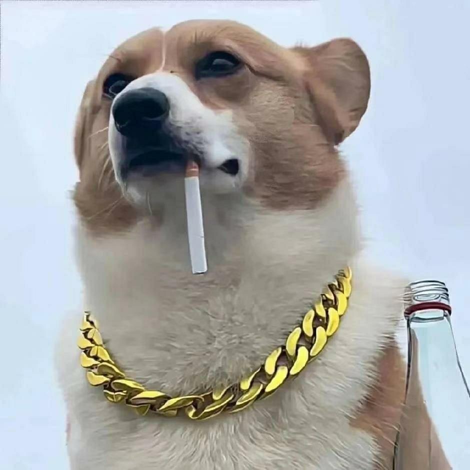 牛牛