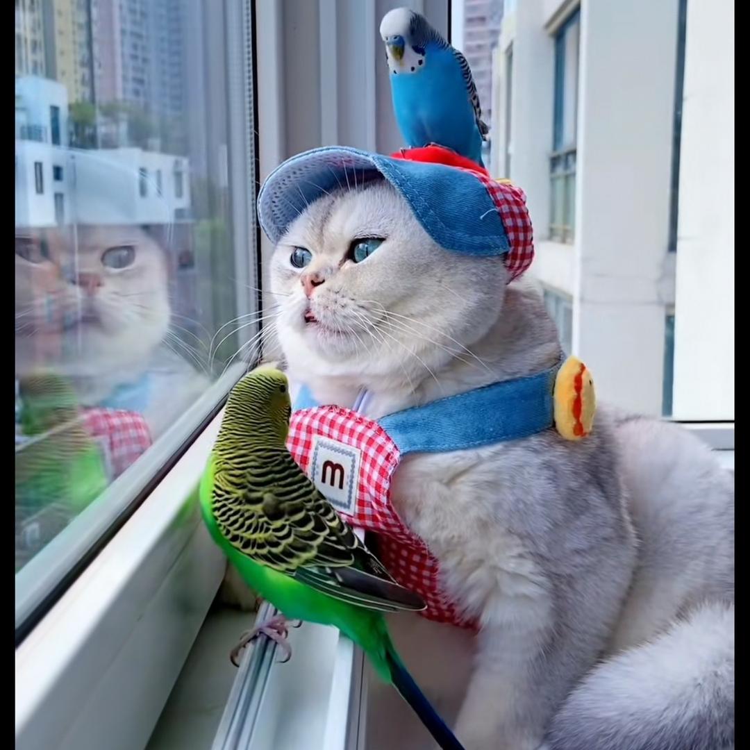 一公子是憨不是傻😎