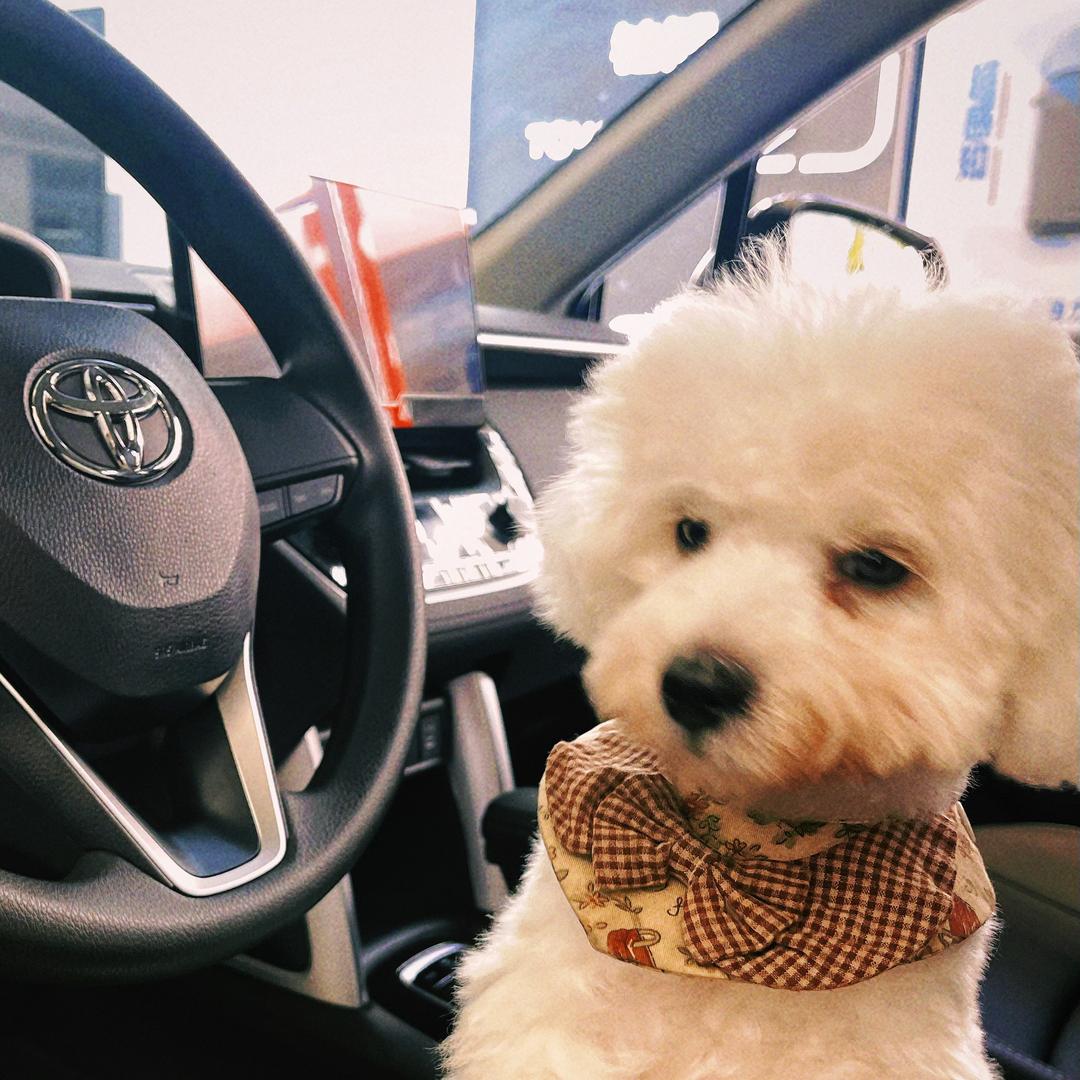 广汽丰田扬州体验中心-小王子