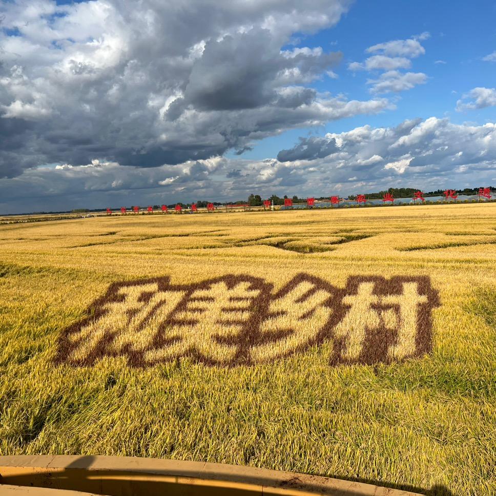 花開花落