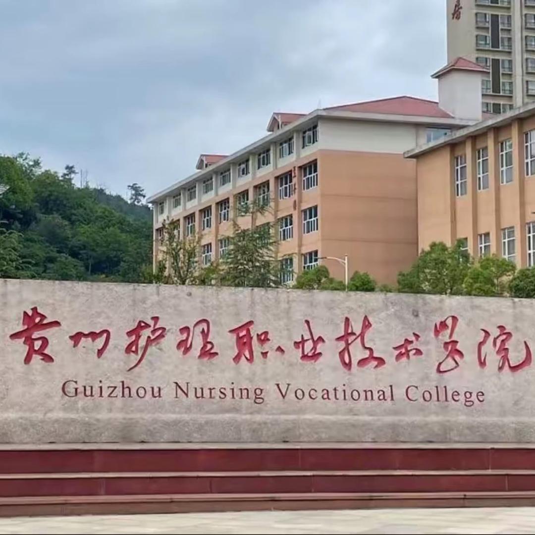 贵州护理-贺师兄（进新生群私芯）