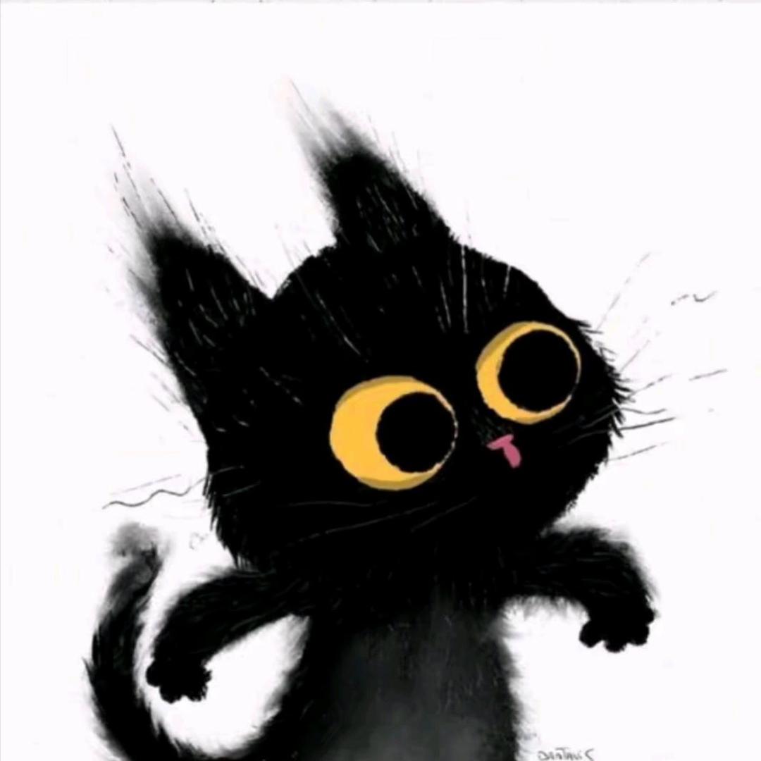 没心情怪我喽💤