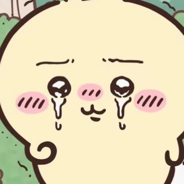 附庸风雅（代肝私信可能发不了消息）