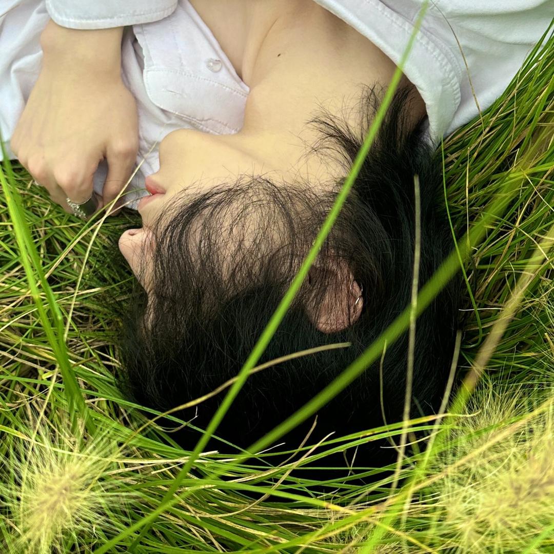 白南贤