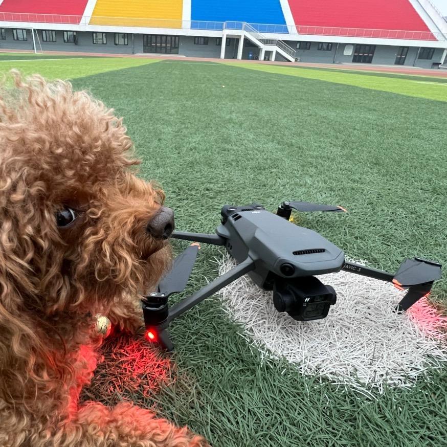 我家泰迪🐻叫欢欢