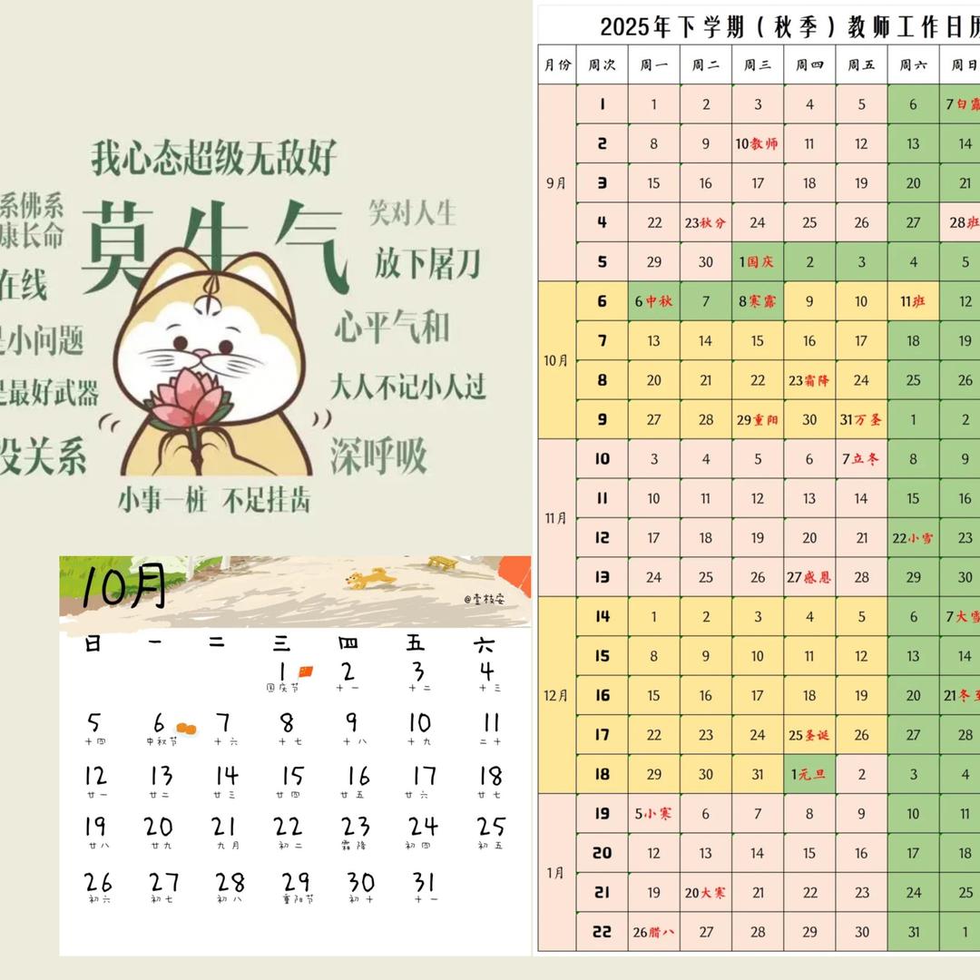 家有“小数”点🪴