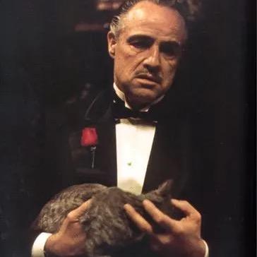 教父（维托 .科里昂）