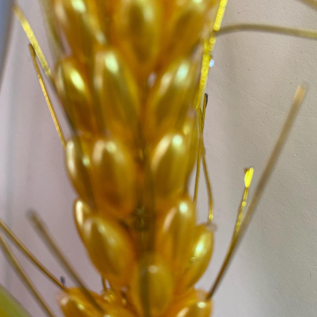 用户352817623
